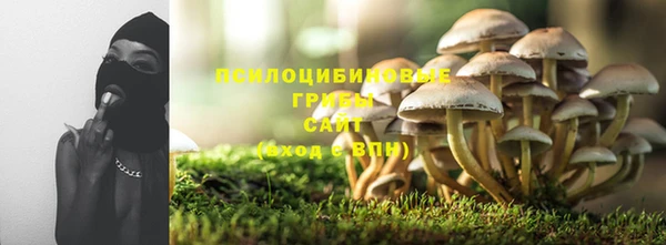 индика Липки