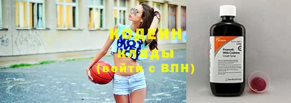 индика Липки