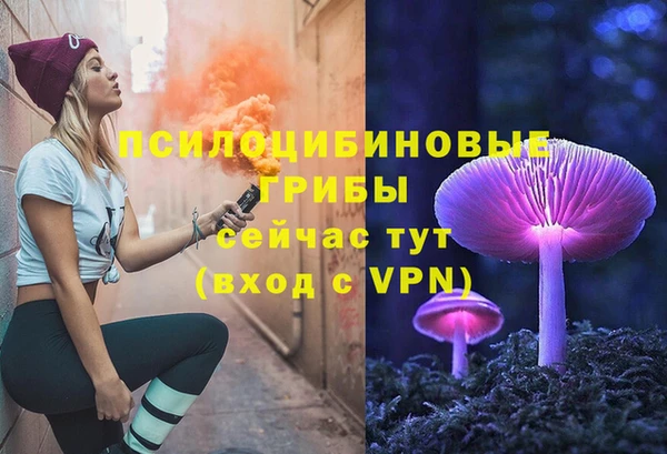 индика Липки