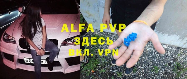 индика Липки