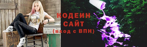 индика Липки