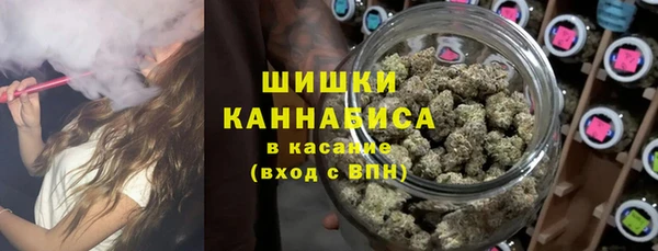 индика Липки