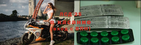 индика Липки